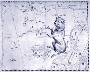 CANIS MAJOR